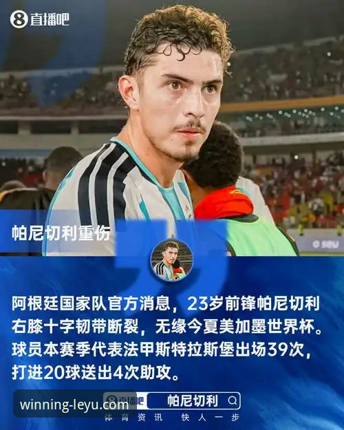 阿根廷世界杯锋线折戟：帕尼切利重伤事件深度解析与观赛平台选择教程