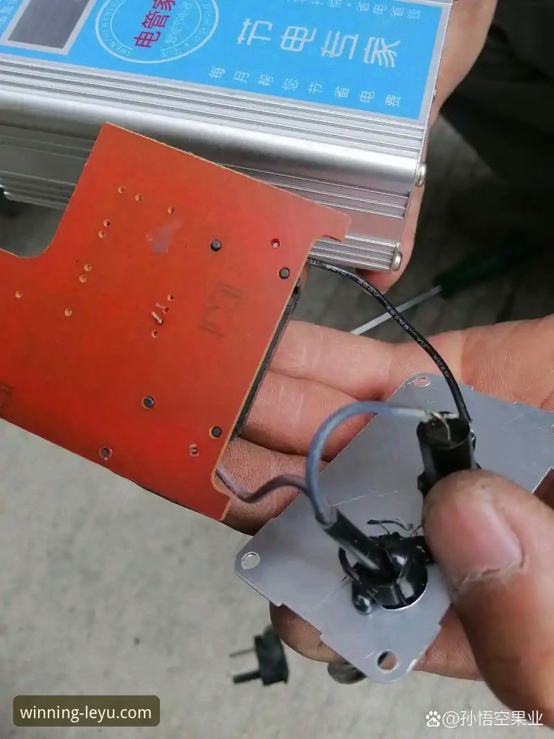 乐鱼体育平台安全稳定背后的真相：一个实战派用户的深度拆解